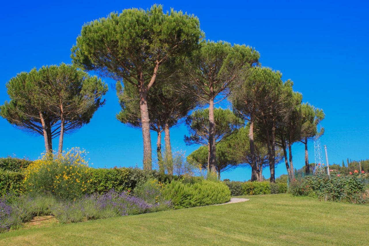 Cavarchino B&B Gaiole in Chianti Exterior photo
